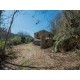Properties for Sale_ FARMHOUSE TO RENOVATE FOR SALE IN LAPEDONA IN THE MARCHE REGION nestled in the rolling hills of the Marche in Le Marche_6